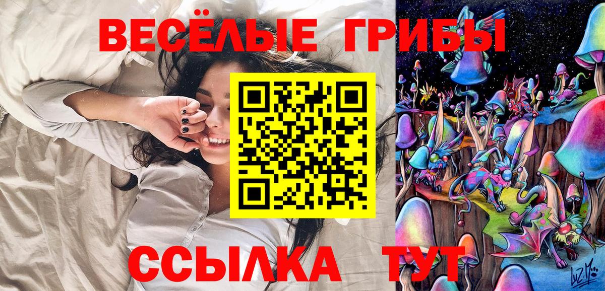 Алатырь  хочу   Вход с VPN  Галлюциногенные грибы Psilocybe 