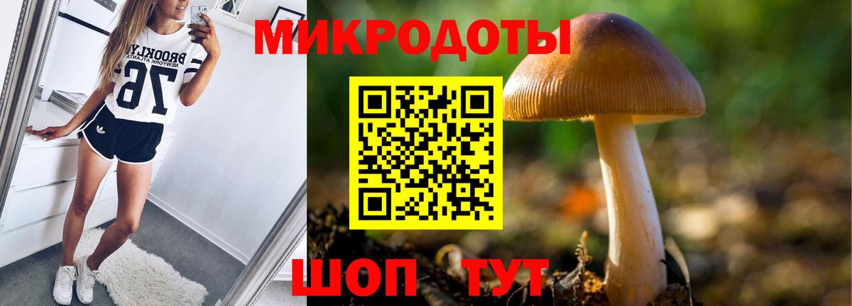 Галлюциногенные грибы прущие грибы Алатырь